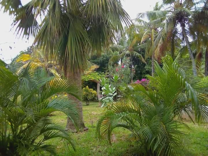 Mwezi Nyota Hotel Malindi Exterior photo